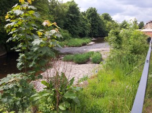 Getting out in the sunshine - just one of the advantages of kids.